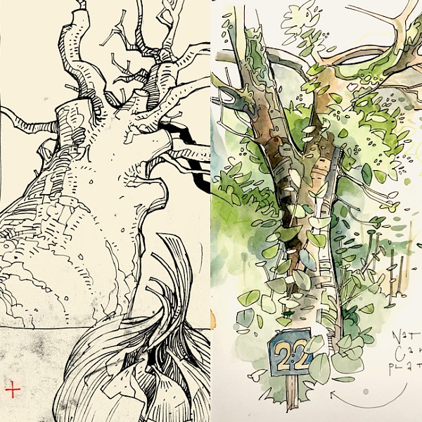 Zeichnen lernen, Farbe erleben – Grundlagen mit Stift und Aquarell (Veranstaltungsort Schloss Blumenthal)