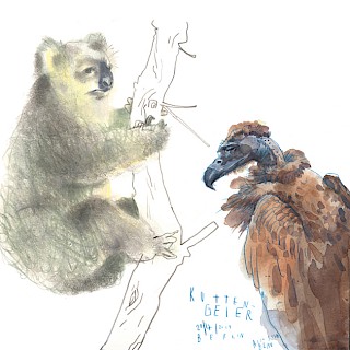 Unsere schönen Brüder: Tiere im Skizzenbuch! (Naturkundemuseum)