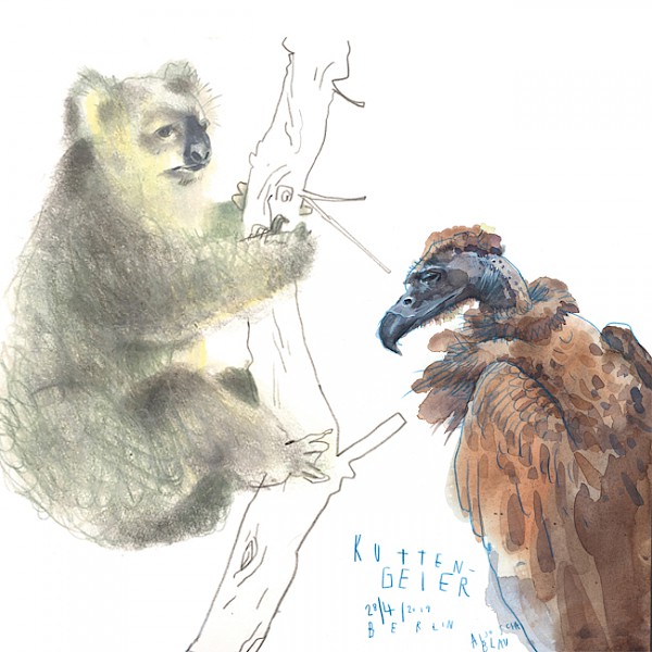 Unsere schönen Brüder: Tiere im Skizzenbuch! (Naturkundemuseum)